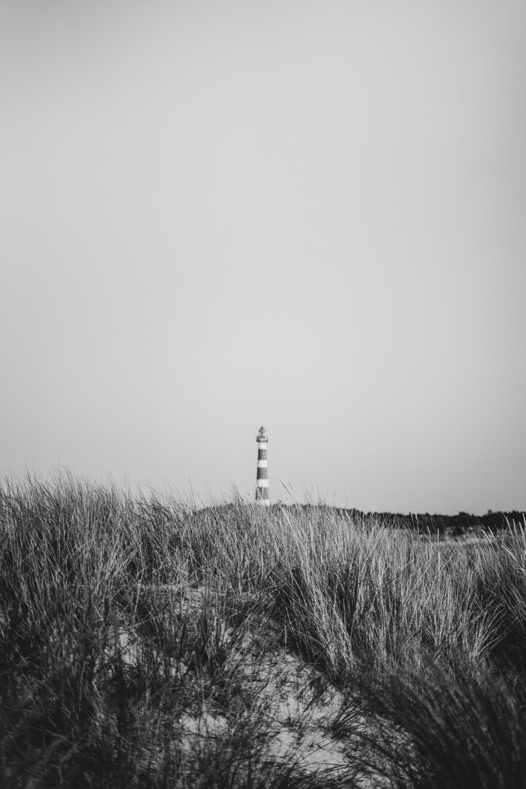 jorgen-hendriksen-FxuKYyiH_sI-unsplash (1)